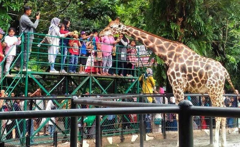 5. Manfaat Wisata Kebun Binatang